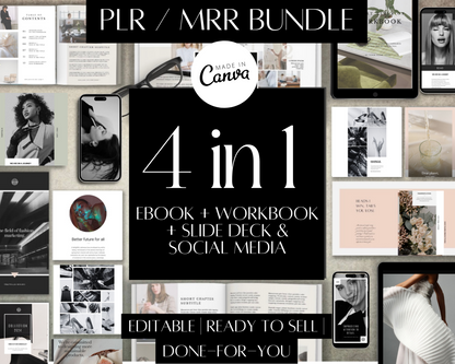 4 in 1 PLR Bundle