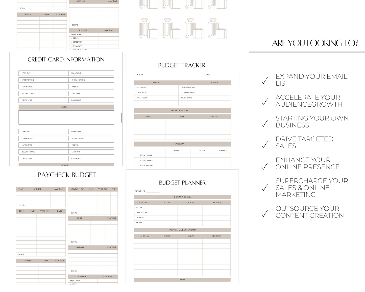 PLR Budget Planner