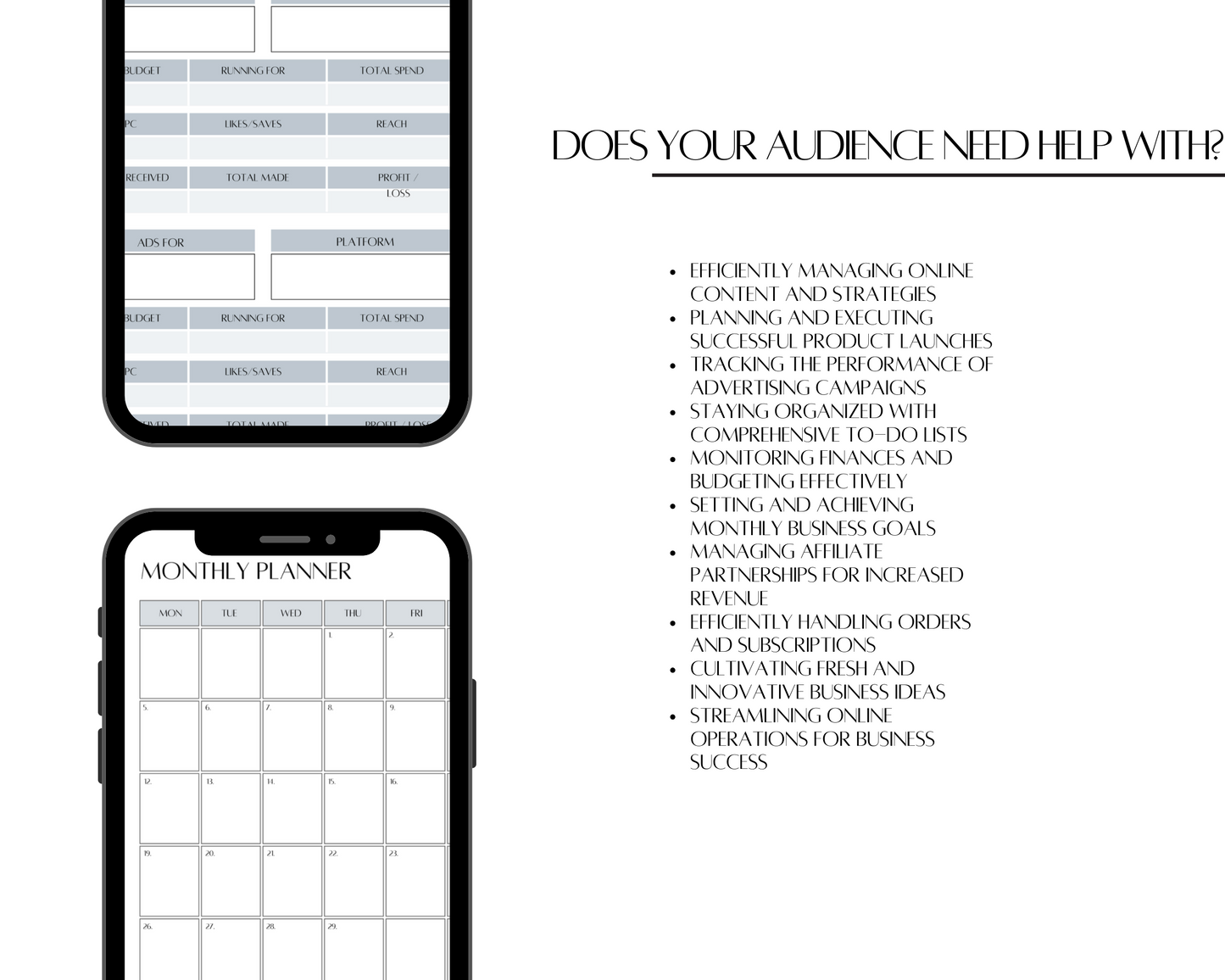 PLR 2024 Online Business Planner