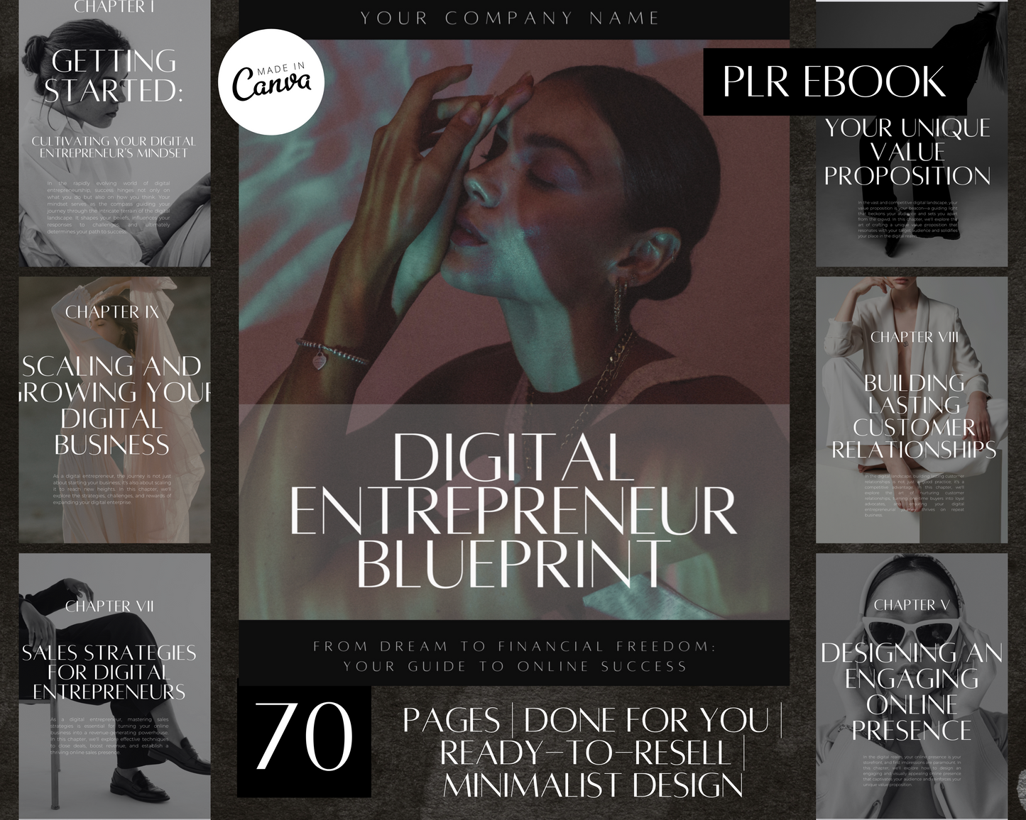 PLR Digital Entrepreneur Blueprint eBook