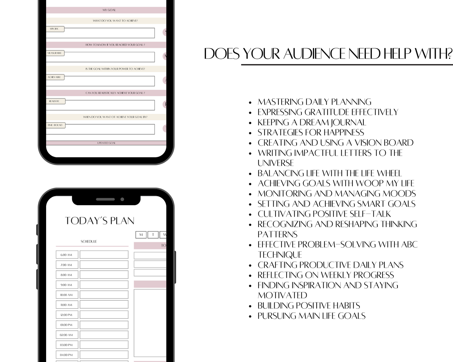 PLR Vision Board Planner